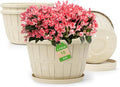 Quarut 10 inch Plastic Flower Pots by Quarut