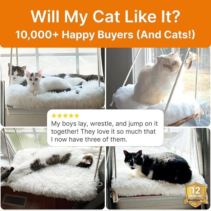 Large Cat Window Perch with Industrial-Grade Suction Cups - Image 9