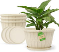 Quarut Plant Planters Pots Set of 4 Pack 16 Inch，Large Plastic Flower Pot by Quarut