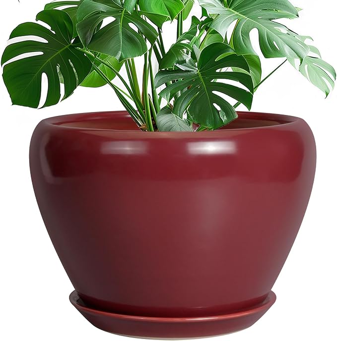 10 Inch Plant Pot by Ceramicfor
