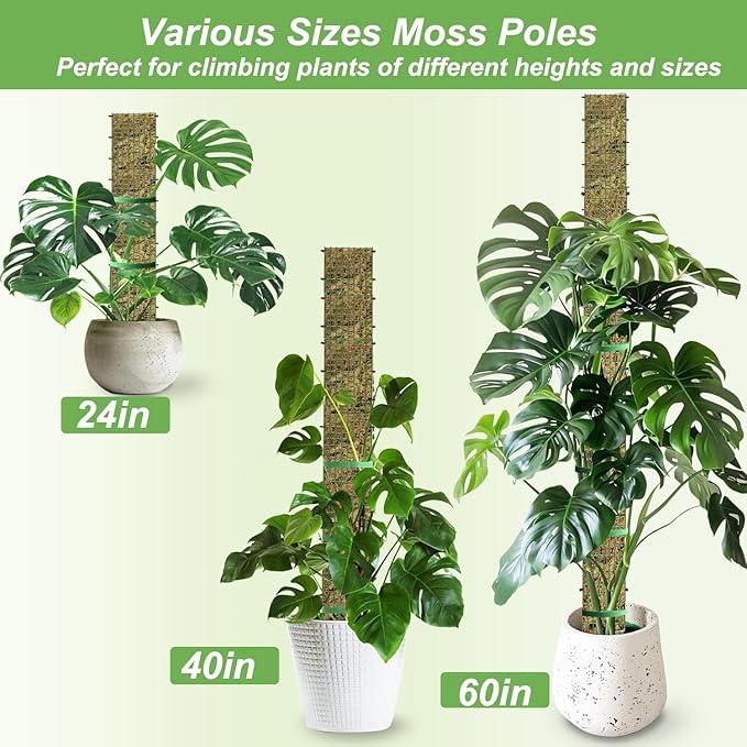 60"/40"/24" Metal Moss Pole, D Shape Sphagnum Moss Pole, Moss Poles - Image 2