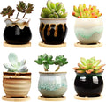 Brajttt 2.1 Inch Succulent Pot by Brajttt