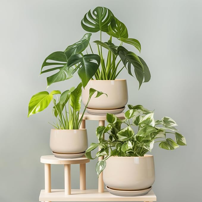 G EPGardening Ceramic Plant Pots - Image 7