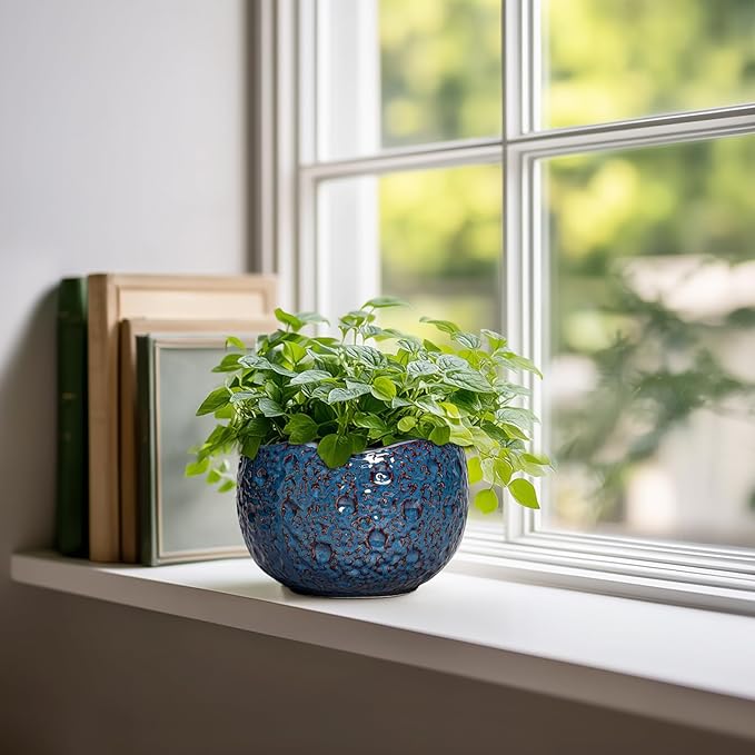 6 Inch Plant Pot - Image 3