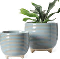 LE TAUCI Ceramic Plant Pots, 5.1 + 6.4 Inch Footed Pots by LETAUCI