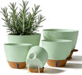 7/6.5/6/5.5/5 Inch Self Watering Pots, Plastic Flower Pots by Unknown