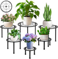 6 Pack Metal Plant Stands, Heavy Duty Plant Stand by SBOSBO