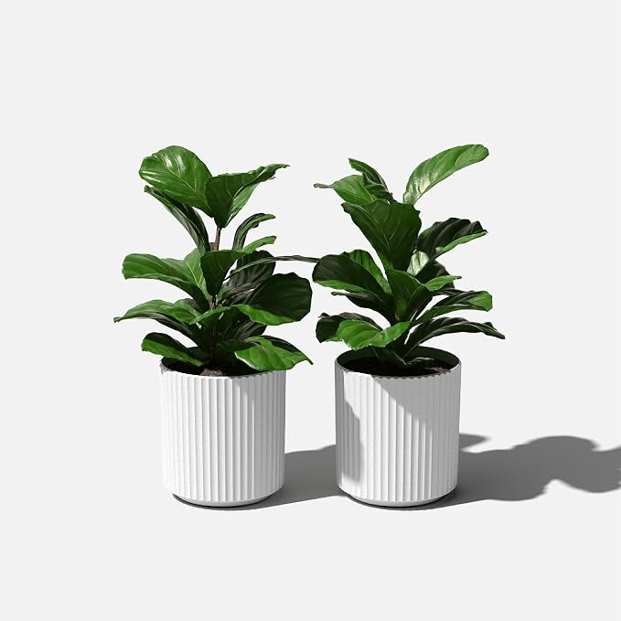 Veradek Demi Series Round Planter - Image 9