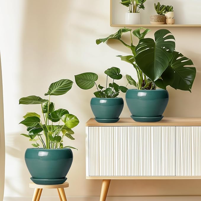 Indoor Plant Pot 6 Inch - Image 8