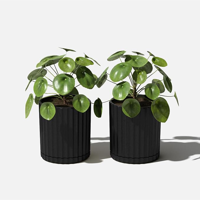 Veradek Demi Series Demi 6" Planter w/Tray - Image 6