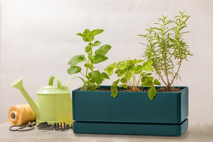 D'vine Dev 12 Inch Window Box Planter, Rectangle Plastic Herb Planter - Image 8