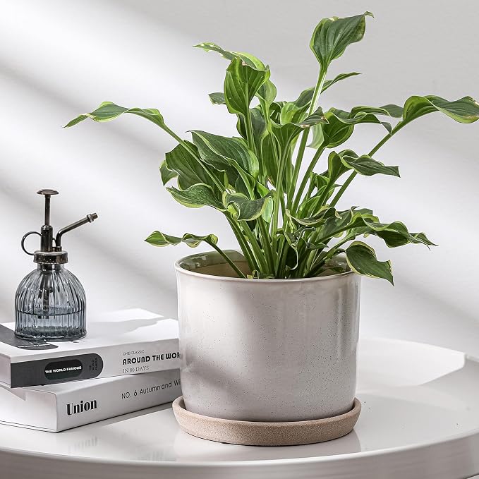 8 Inch Plant Pot: Ceramic Planter - Image 5