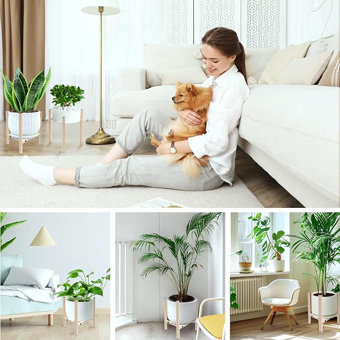 Aripark Plant Stand Indoor Adjustable, Metal Modern Plant Stands, Small Heavy - Image 6