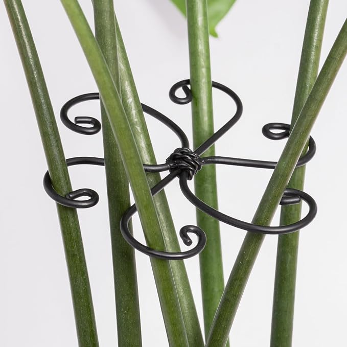 Monstera Plant Support Hook by Yohsnor