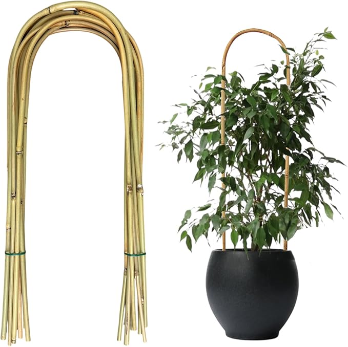 20 Pack Bamboo U Trellis for Potted Plants by Unknown