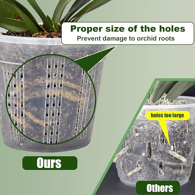 Orchid Pot with Saucers, 6 Packs of 6.1" Orchid Pots with Holes, Orchid Pots - Image 2
