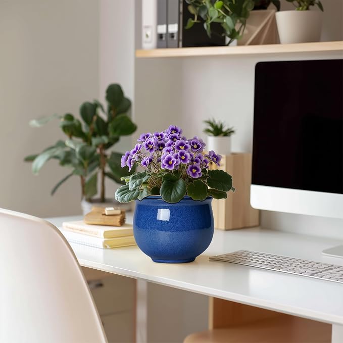6 Inch Self Watering Pots, Ceramic African Violet Planter - Image 3