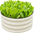 SnugNiture 2x2x1ft Round Galvanized Raised Garden Bed Kit Outdoor, Metal by snugniture