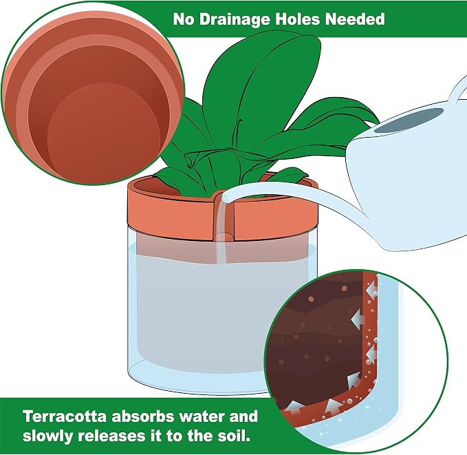 Phoenix Vine 8 Inch Self Watering Planter Pot, Terracotta Clay Pot - Image 6