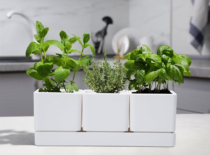 D'vine Dev Herb Garden Planter Set, Plastic Plant Pots - Image 2
