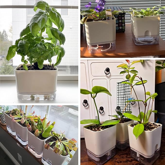 Planterhoma 6 Pack-5.5 Inch Self Watering Plant Pots - Image 8