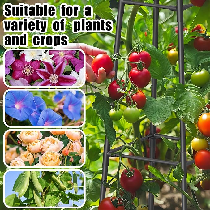 5.2FT Obelisk Trellis for Climbing Plants Outdoor, 16mm Rust-Proof Extra - Image 6