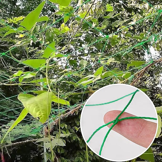 Trellis Netting for Climbing Plants - Image 3