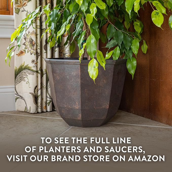Classic Home and Garden Shaina Planting Pots - Image 7