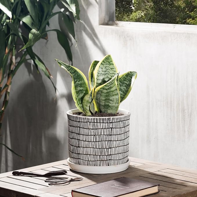 8 Inch Plant Pot: Ceramic Planter - Image 5