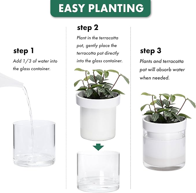 Phoenix Vine 4 Inch Self Watering Planter - Image 7