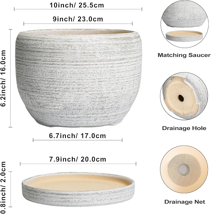 SQOWL Ceramic Flower Pots - Image 3