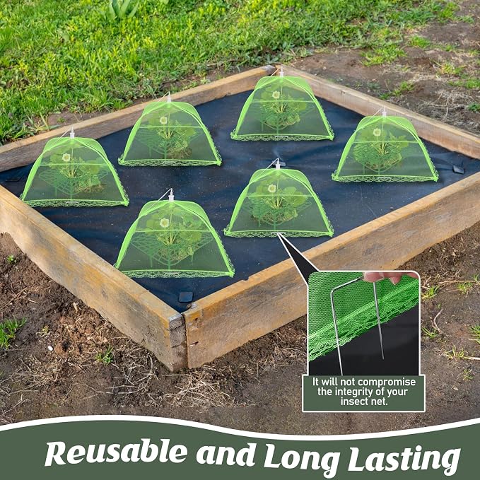 4 Sets Strawberry Plant Support - Image 4