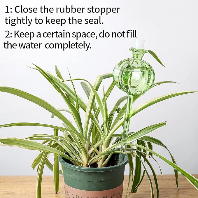 Self Watering Planter Insert. Plant Watering Devices. 3-Pack Cactus Plant - Image 4