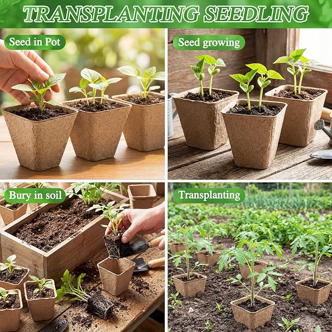 120 Pcs Square Peat Pots for Seedlings - Image 4