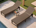 Greesum Outdoor Chaise Lounge Chair Set of 2, Waterproof 5-Position Adjustable by BuynowfromGreesum