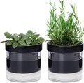 Phoenix Vine 4 Inch Self Watering Planter Pot by Phoenix+Vine