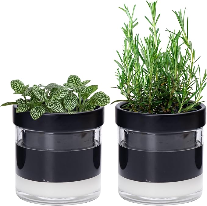 Phoenix Vine 4 Inch Self Watering Planter Pot by Phoenix+Vine