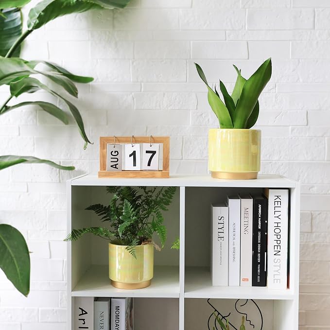 Gepege Indoor Pots for Plants, Ceramic Planter - Image 2