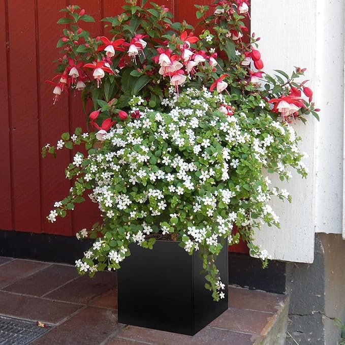 Galvanized Steel Planter Box Black Metal Planter 20Inch Large Square Indoor - Image 2