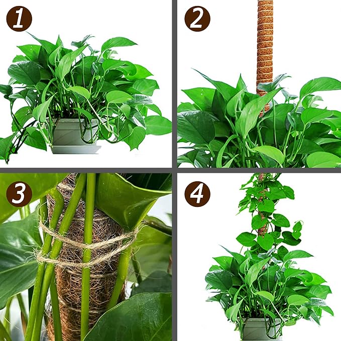 60 Inch Moss Pole for Plants Monstera, Tall Bendable Moss Poles for Climbing - Image 7