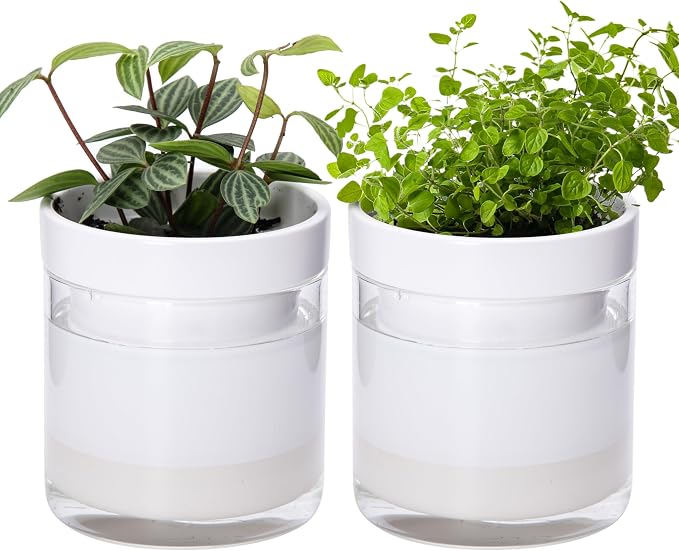 Phoenix Vine 4 Inch Self Watering Planter by Phoenix+Vine