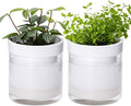 Phoenix Vine 4 Inch Self Watering Planter by Phoenix+Vine