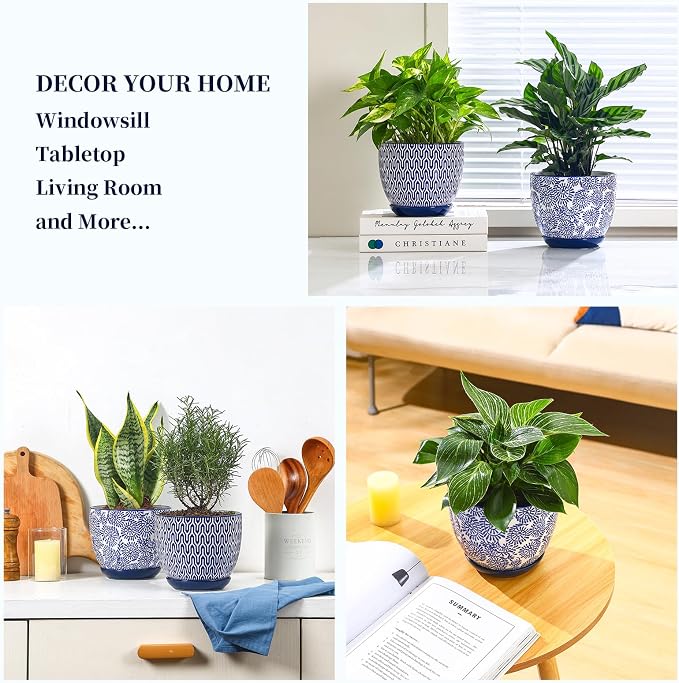 Selamica Ceramica Plant Pots, 6.5 Inch Flower Pots Set of 2 - Image 5