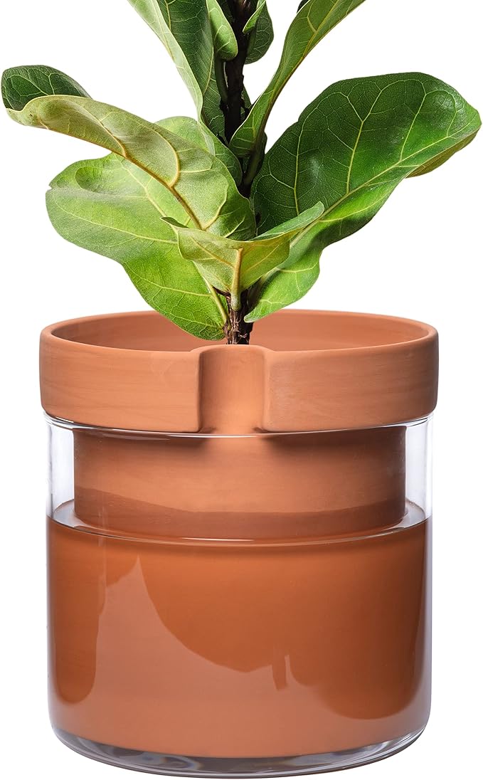 Phoenix Vine 10 Inch Self Watering Planter Pot, Terracotta Clay Pot by Phoenix+Vine