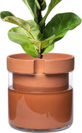 Phoenix Vine 10 Inch Self Watering Planter Pot, Terracotta Clay Pot by Phoenix+Vine