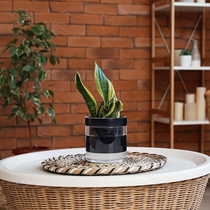 Phoenix Vine 6 Inch Self Watering Terracotta Planter - Image 6