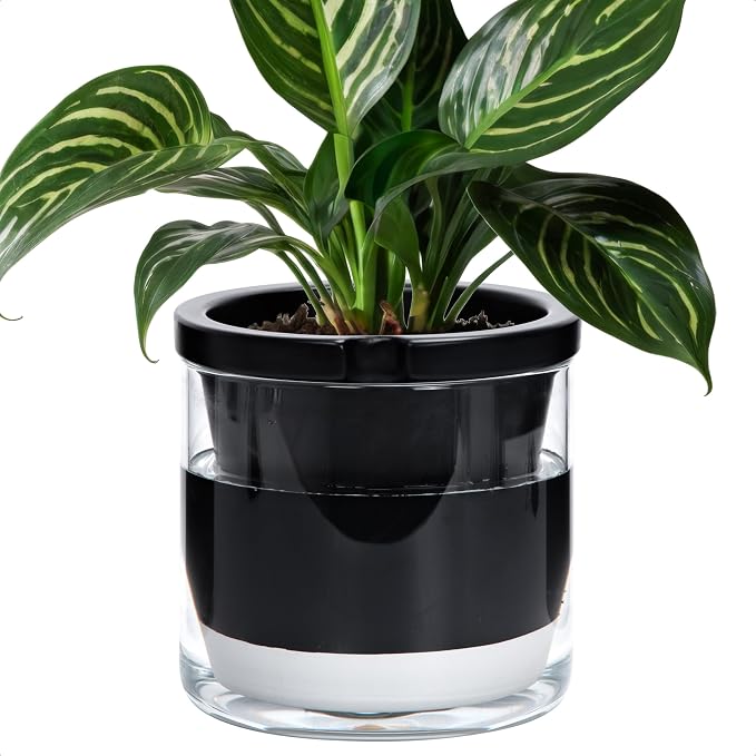 D'vine Dev 8 Inch Design Self Watering Planter by DvineDevPlanterPotsandStand