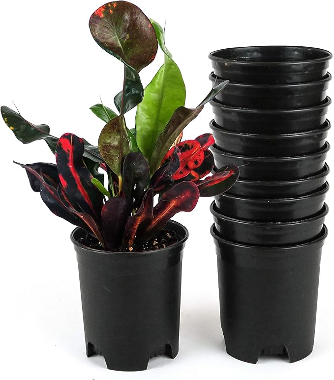 4 Inch Nursery Pot Plastic Planters by CottaPlanters
