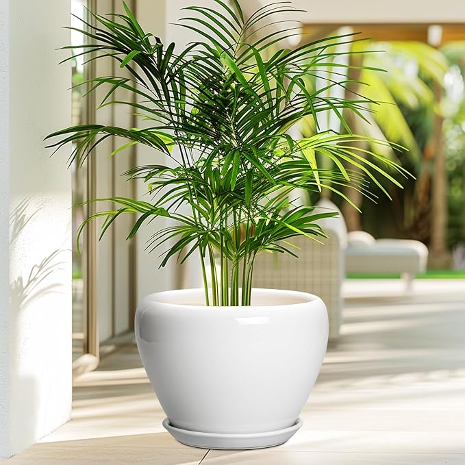 Ceramic Pot for Plants - Image 4