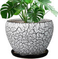 Ceramic Planters for Indoor Plants by Ceramicfor